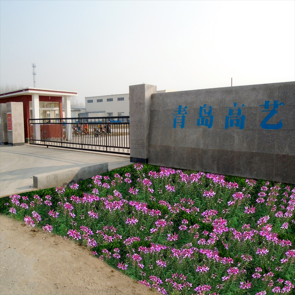 Chine Qingdao High Art Glass Co., Ltd.
